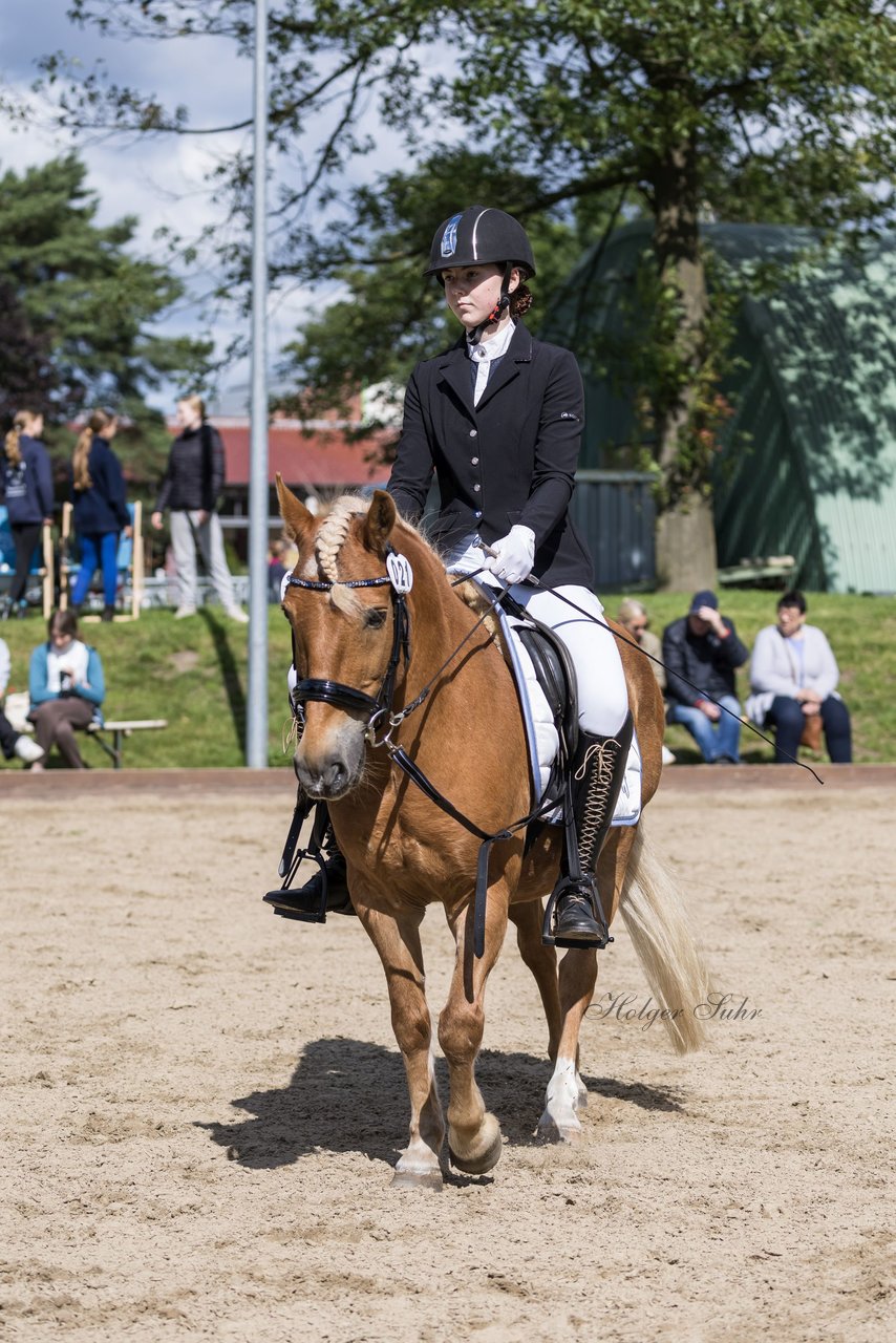 Bild 546 - Pony Akademie Turnier